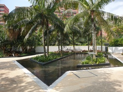 Belysa (D18), Condominium #202466352